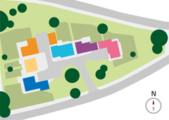 Development Layout